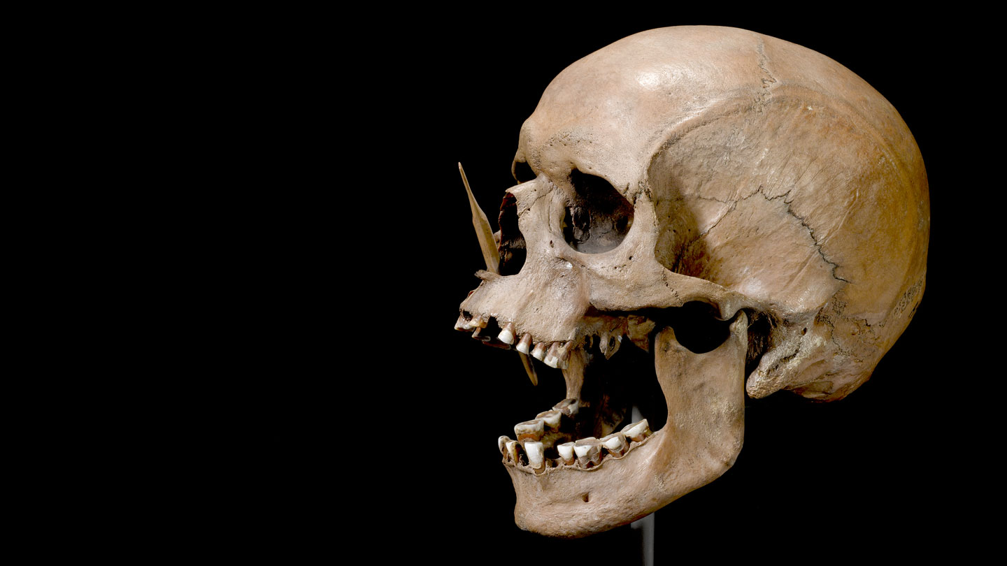 A skull with an arrow shot through its nose appears on a black background. The Danish swamp skull, known as the Porsmos Man, dates back to around 4,600 years ago.